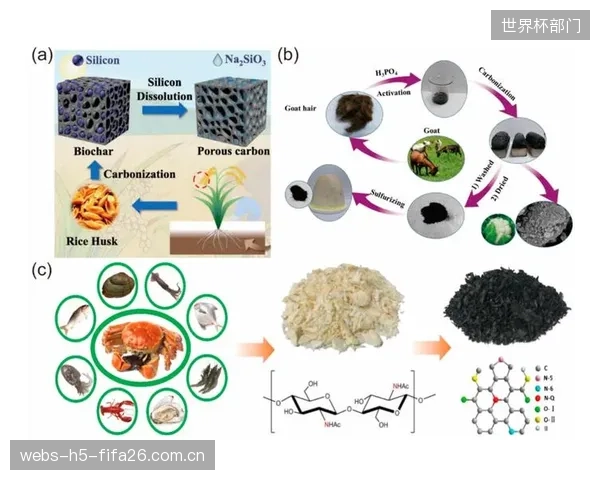 过度聚焦单一的碳减排指标,可能忽视了生物基材料在种植、运输环节对水资源和生物多样性的潜在负面影响 过度聚焦单一的碳减排指标,可能忽视了生物基材料在种植、运输环节对水资源和生物多样性的潜在负面影响